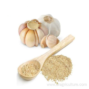 Top Quality Garlic Dry Powder Vegetables